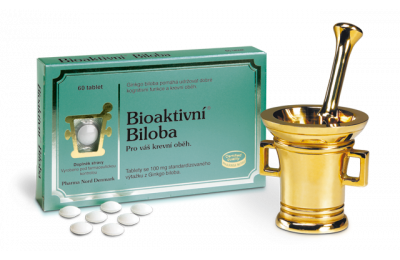 PHARMA NORD Bioaktivní Biloba 100 mg, 60 tablet